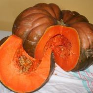 Гарбуз Зоря сходу