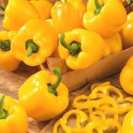 Перец Марта Полка за 0,2 г