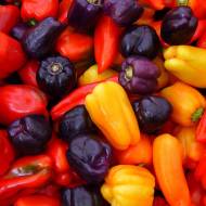 Комплект перца «Паприка»