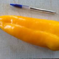 Перец Карпатия за 0,25 г