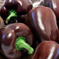 Перець Шоколадне диво за 0,15 г