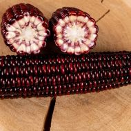 Кукурудза Бордо F1 за 10 г