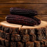 Кукуруза Бордо F1 за 10 г