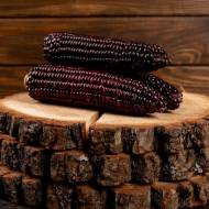 Кукуруза Бордо F1 за 10 г