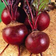 Свекла столовая Детройт