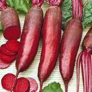 Буряк столовий Чарівниця за 20 г