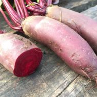 Свекла столовая Волшебница за 20 г