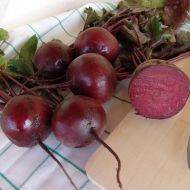 Буряк столовий Бона