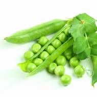 Горох Віолена