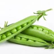 Горох Фаворит