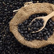 Квасоля кущова Блек Найт