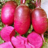 Редька Дайкон Китайский розовый за 3 г