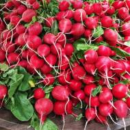 Комплект редиса «Весенний салат»