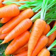 Морковь Цукат за 20 г