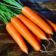 Морковь Успех
