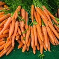 Комплект моркви «Морквяний бум»