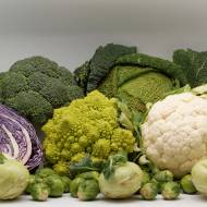 Комплект капусти «Капустяний іммігрант»