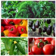 Набір №1 Смачний