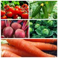 Мега-набір № 2 Врожайний