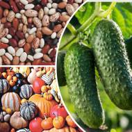 Набір № 4 Вітамінний