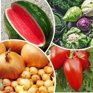 Мега-набір № 5 Дачний