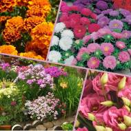 Мега-набір № 8 Казковий