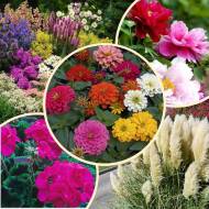 Мега-набор № 9 Красочный