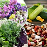 Мега-комплект № 11 Духмяний