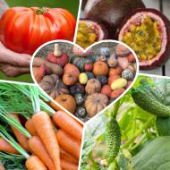 Мега-комплект № 12 Экзотический