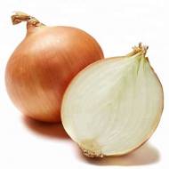 Лук севок Штур БС 20