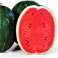 Кавун Карістан за 1,5 г