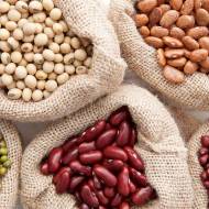 Комплект насіння «Квасолевий калейдоскоп»