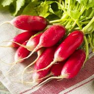 Редиска Базис за 3 г