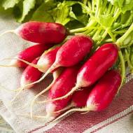 Редиска Базис за 3 г