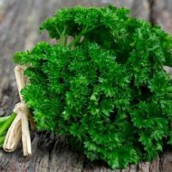 Петрушка кудрявая Стехия за 2 г