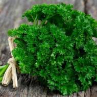 Петрушка кудрявая Стехия за 2 г