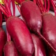 Свекла столовая Андромеда