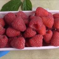 Саджанець малина Маргарита в контейнері