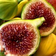 Саженец Инжир Брунсвик