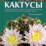 Мої кактуси (рос.мовою)