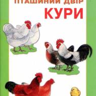 Кури. Пташиний двір