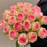 Троянда чайно-гібридна Есперанса