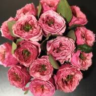 Роза чайно-гибридная Кантри гарден