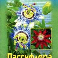 Пассифлора (рос.мовою)