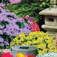 Цветочная смесь Японский сад за 0,5 г