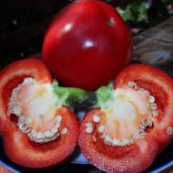 Перец Сладкая Радуга за 30 сем.