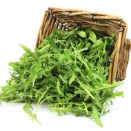 Сильветта лесная за 1 г