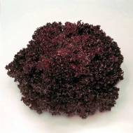 Салат Рубиновый браслет за 1 г