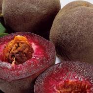 Саженец Персик Эритрокарпа в контейнере