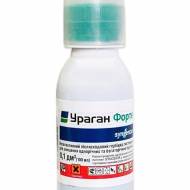 Ураган Форте